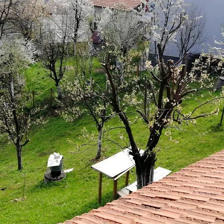 Sky Penthouse Aman Manzil Villa Sarajevo